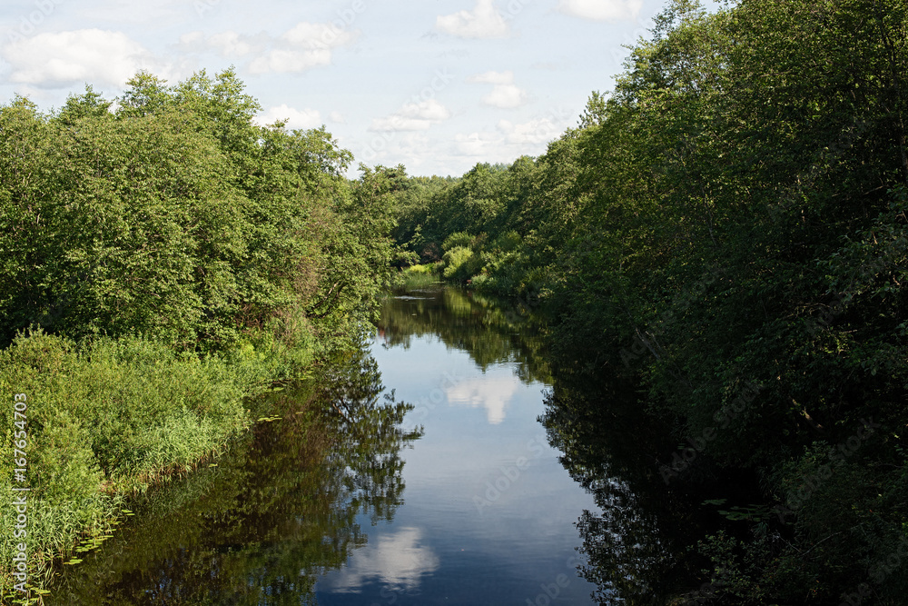 Forest landscape with trees, river and sky with clouds Forest landscape with trees, river and sky with clouds
