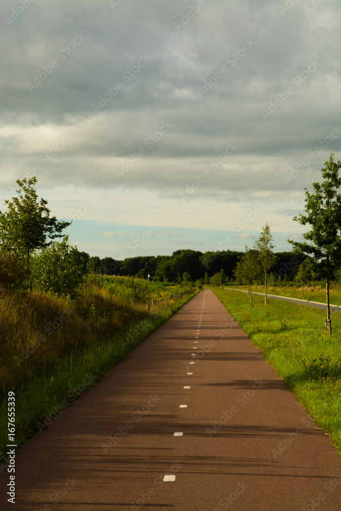 Safe and cheap transportation - network of bicycle paths in the Netherlands