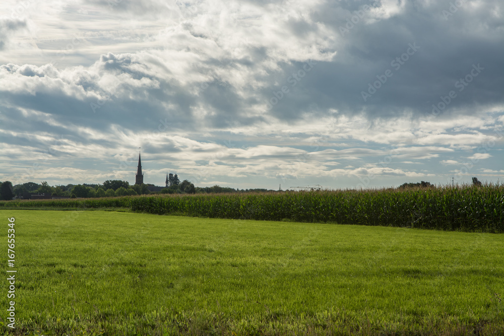 Dutch farmland, landscape with old church tower and corn fields Dutch farmland, landscape with old church tower and corn fields