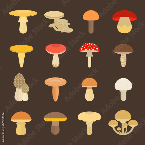Set Vector Illustration of Mushrooms