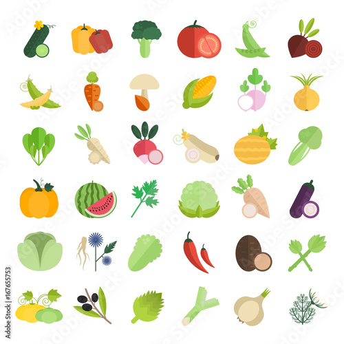 Set Vector Illustration of Vegetables