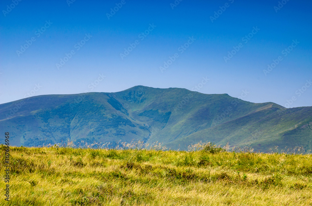 Background landscape with Ukrainian Carpathian Mountains in the Pylypets