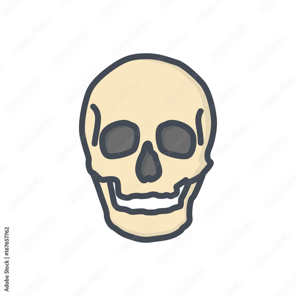 Bones colored icon human skull