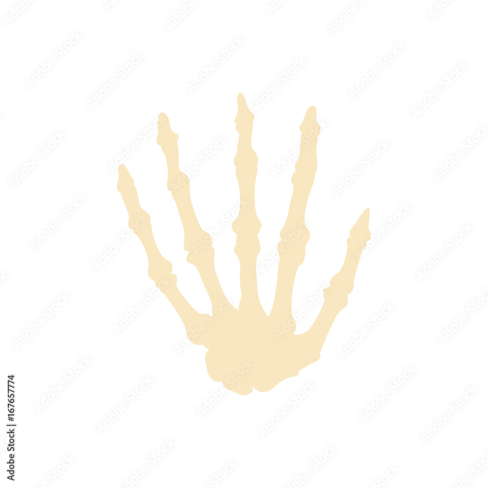 Bones flat icon finger hand