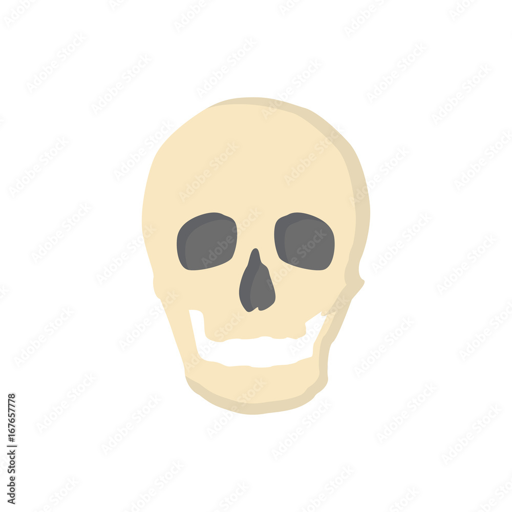 Bones flat icon human skull Bones flat icon human skull