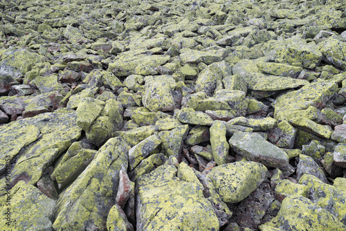 Lichen moss stone rock rough surface landscape texture background