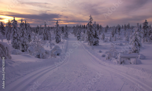 A view at the cross country ski track leading through Urho Kekkonen National Park, Finland, during the sunset time.