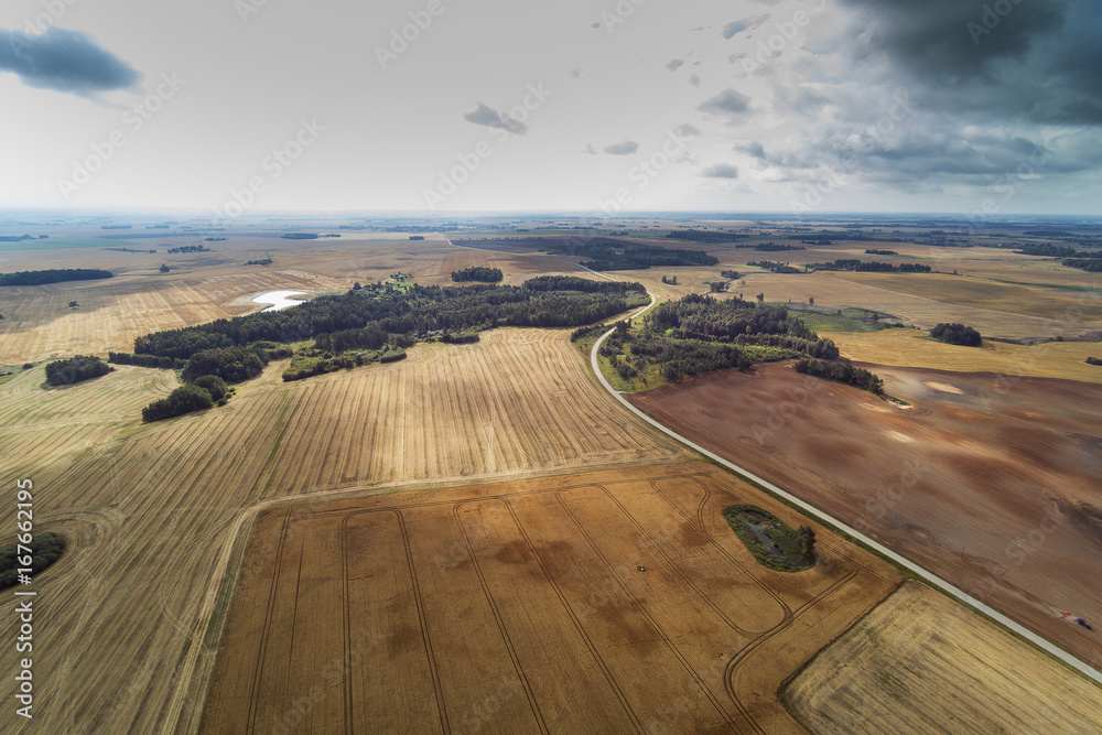 Fototapeta premium Cloudy summer day in countryside, Dobele area, Latvia.