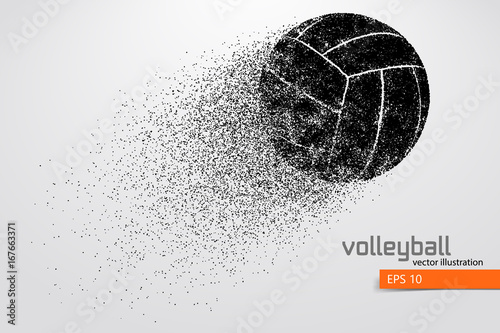 Silhouette of volleyball ball.