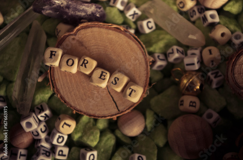 word forest made with wooden letters. Wooden illustration blackground