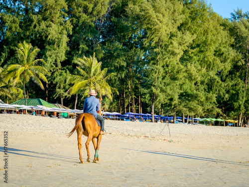 A rider in a cowboy hat riding a horse on the beach