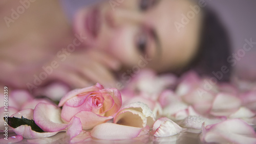 Fresh Rose petals and pink rosebud. Blurred Woman face with clean Healthy skin on background