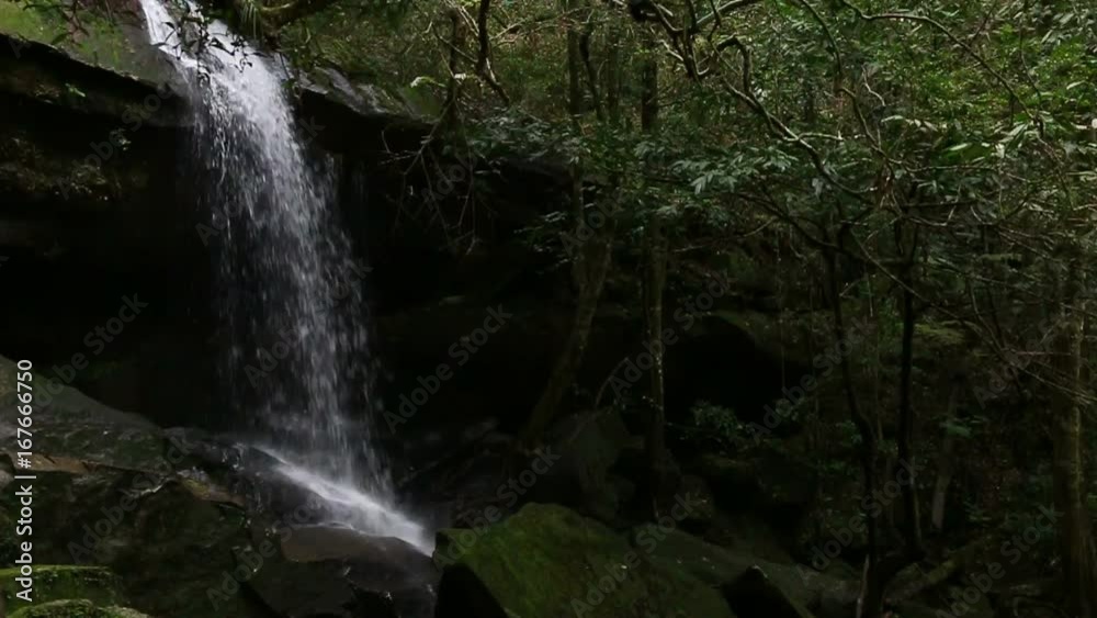 Beautiful waterfall landscape. 