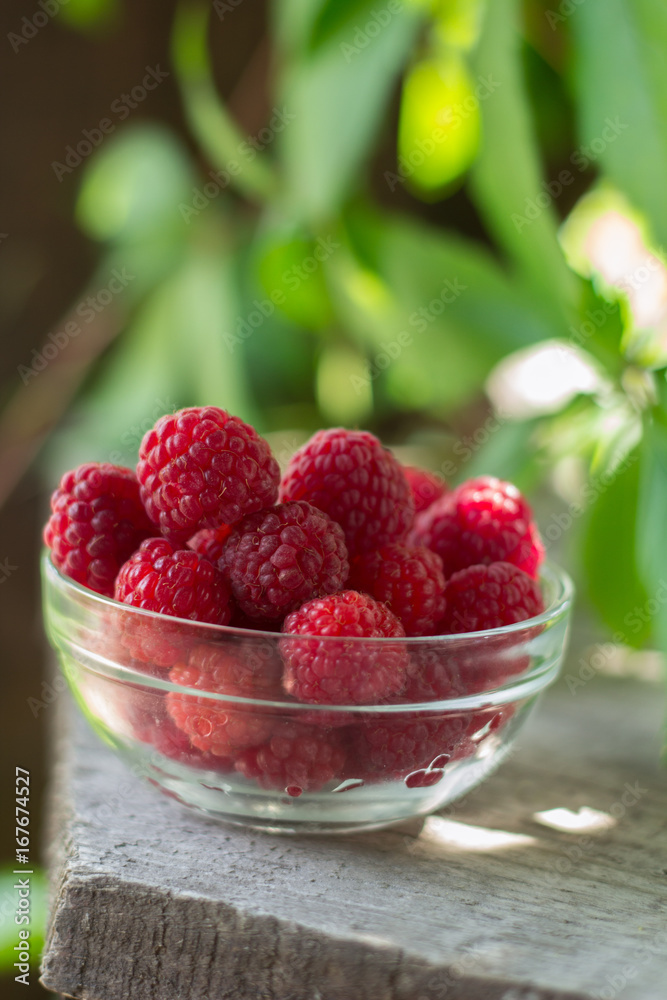 soft focus on freshly harvested raspberries in a glass bowl