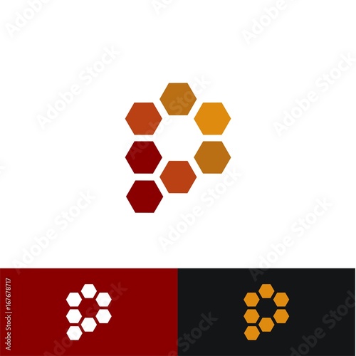 P Hexagon Logo