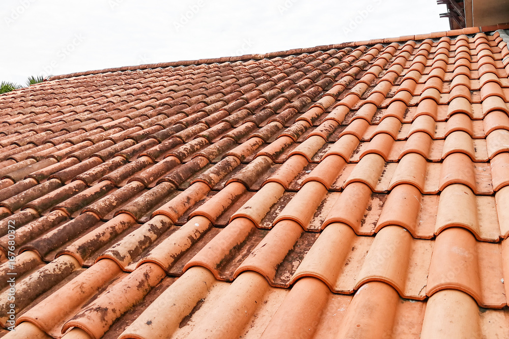 Moldy roof tiles in humid tropical climate Moldy roof tiles in humid tropical climate