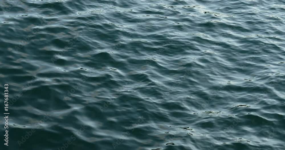 Sea surface under sunlight