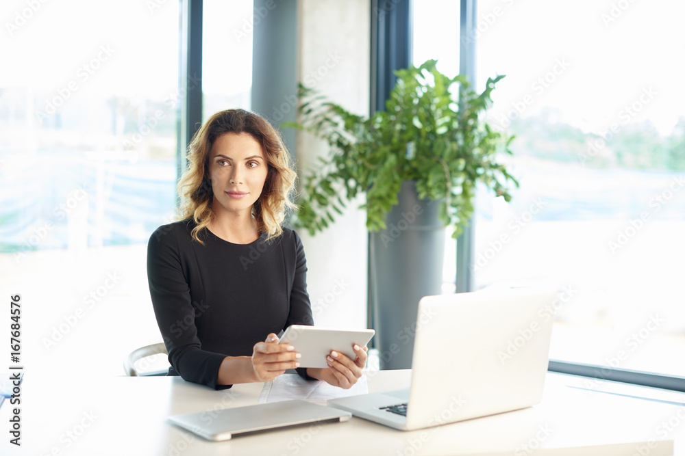 Professional businesswoman working at the office. Professional businesswoman working at the office.
