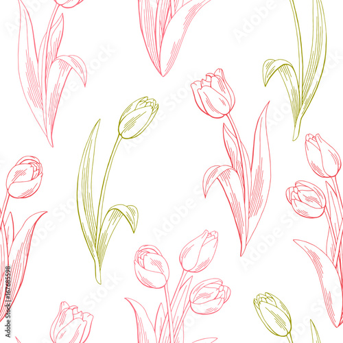 Tulip flower graphic color seamless pattern sketch illustration vector