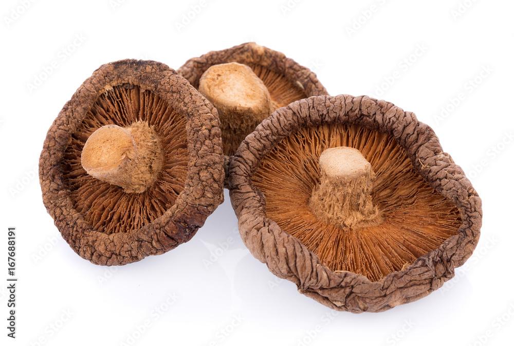 Dry Mushrooms isolated on white background Dry Mushrooms isolated on white background