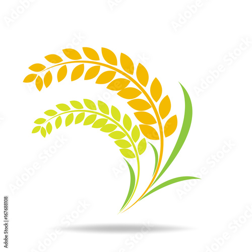 Rice organic Circle paddy grain products and healthy food design vector