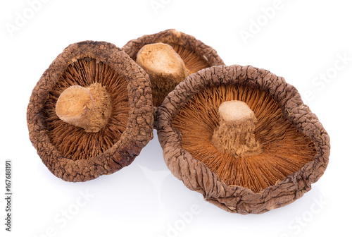 Dry Mushrooms isolated on white background