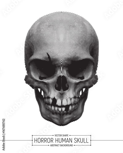 Vector Human Horror Skull Art Illustration Isolated on White Background