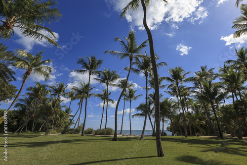 Private Garden in Marathon, Keys Florida USA photo