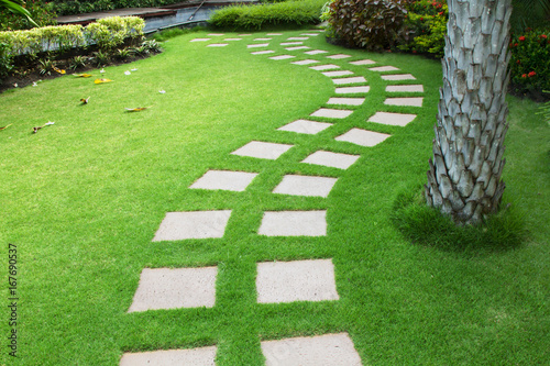 Pathway at backyard garden
