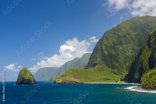 Fototapet The world tallest sea cliffs of Molokai in a blue sky bright day light