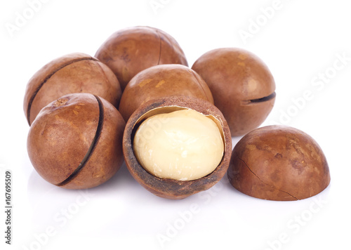 Macadamia nut on white background