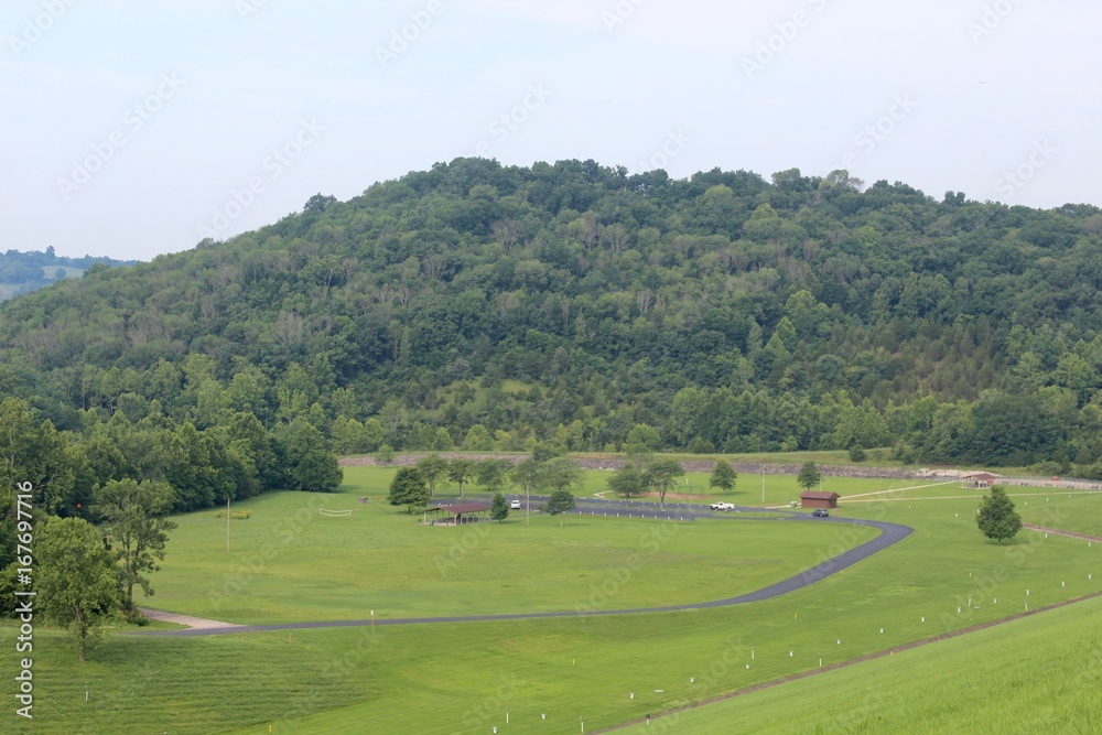 The green grass field hill landscape in the park.