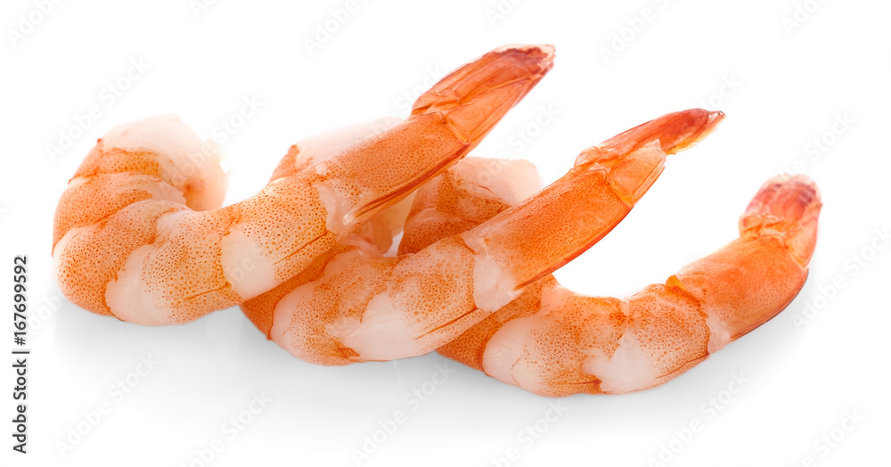 shrimps on a white background