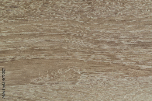 Wood texture. Wood background with natural pattern