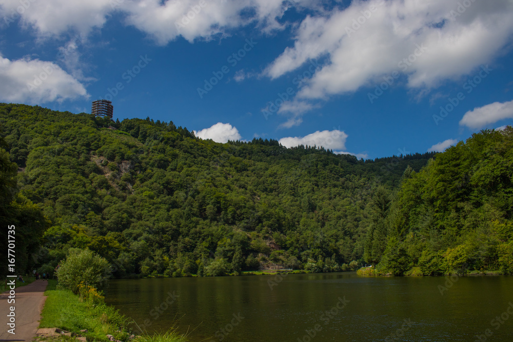 Baumwipgelpfad an der Saar