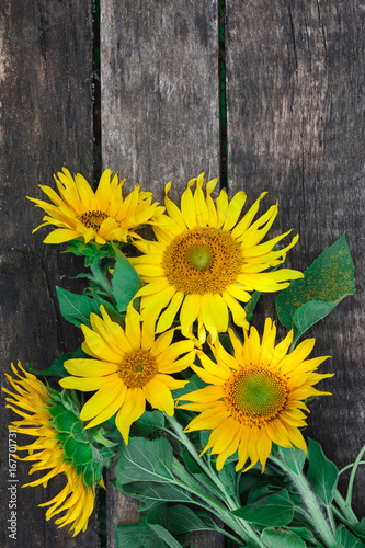 Sunflowers on a wooden table  copy space