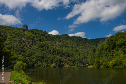 Baumwipgelpfad an der Saar