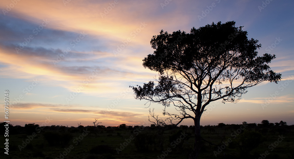 Kalahati sunset with trees grass and blue sky