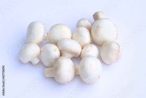 Fresh mushrooms on a white background.