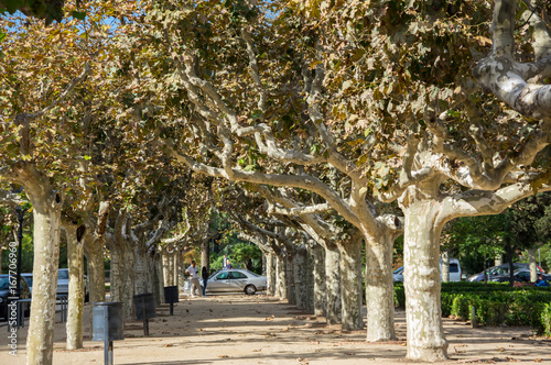 Citadel Park in Barcelona