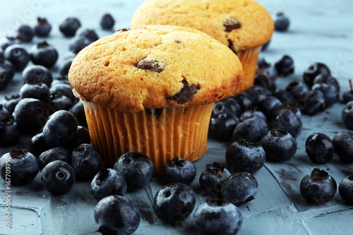 Freshly baked blueberry muffins with fresh blueberries