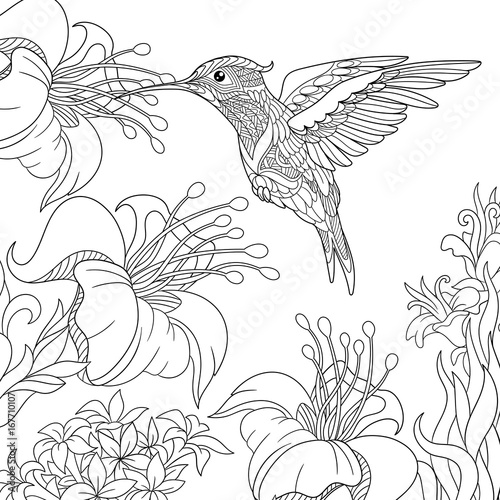 Coloring page of hummingbird and hibiscus flowers. Freehand sketch drawing for adult antistress colouring book with doodle and zentangle elements.