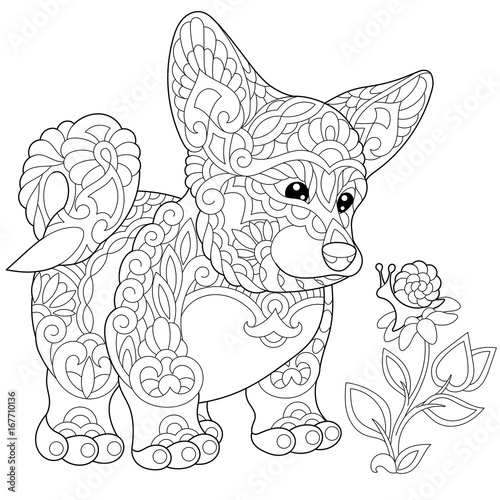 Coloring page of cardigan welsh corgi puppy. Freehand sketch drawing for adult antistress colouring book with doodle and zentangle elements.