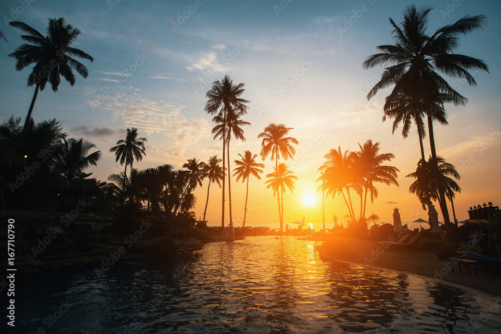 Silhouettes of palm trees on a tropical beach during sunset.