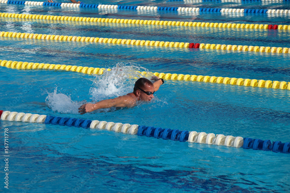 Swimmer in the swimming pool