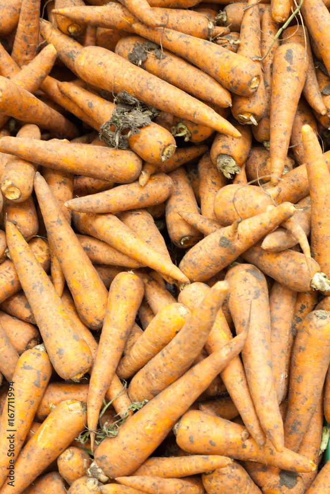 Carrots background texture of Carrots , seasoning Carrots , Carrots for sale,