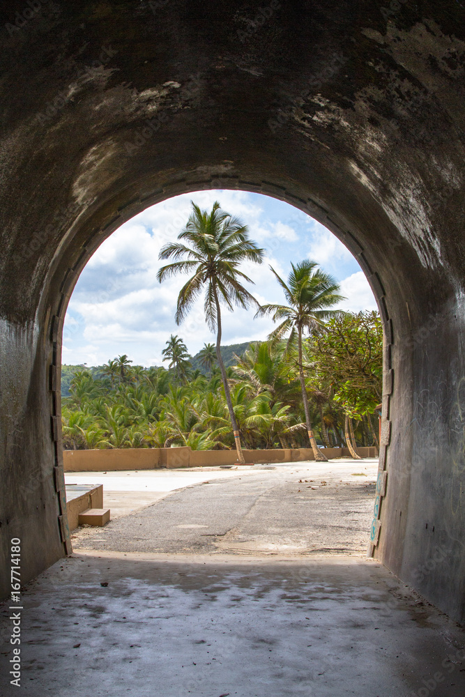 view of palm trees from inside old tunnel