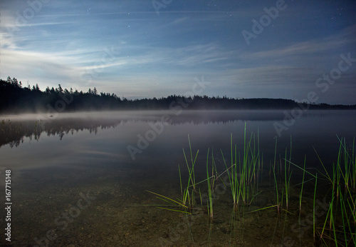a night landscape with green reeds on a misty lake