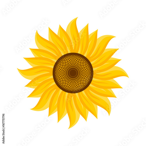 Logo and symbol of sunflower for Thanksgiving Day