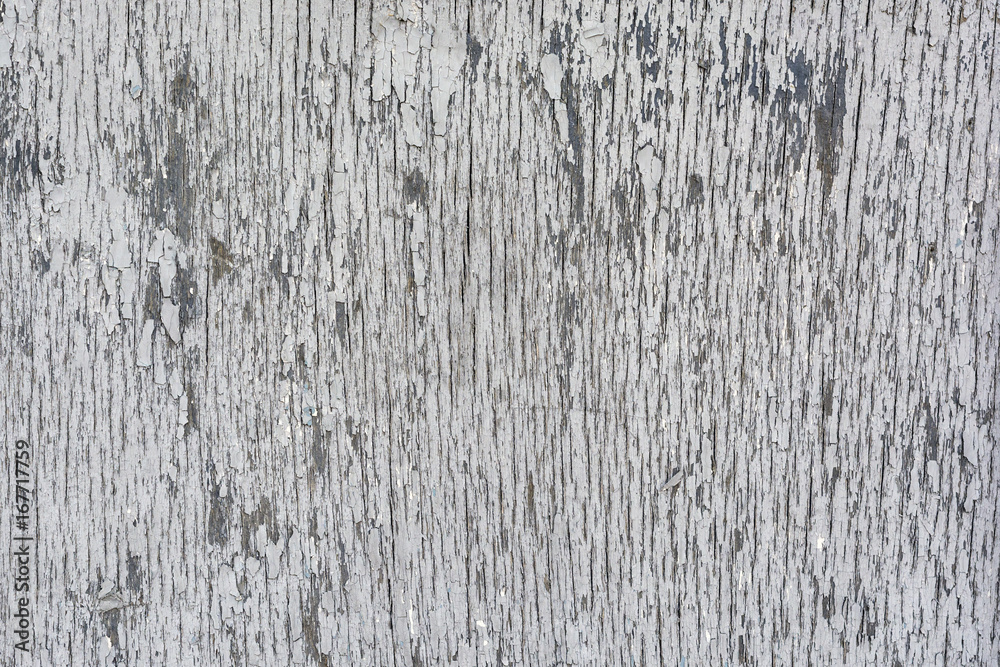 Gray wood surface as background. Wood texture. Gray wood surface as background. Wood texture.
